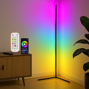LED Corner Floor Lamp